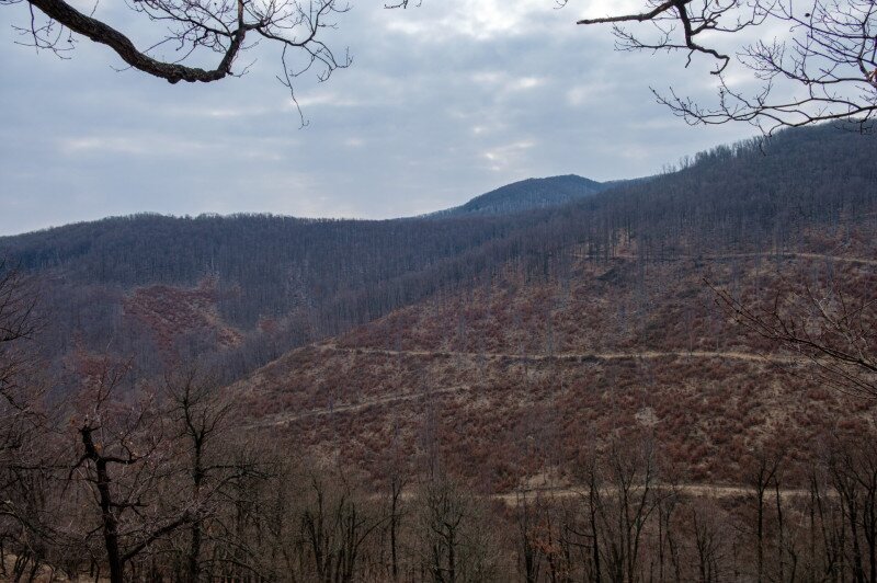 Kilátás a Rakottyás-bércről a Nagy-Mána és a Málna-hegy felé