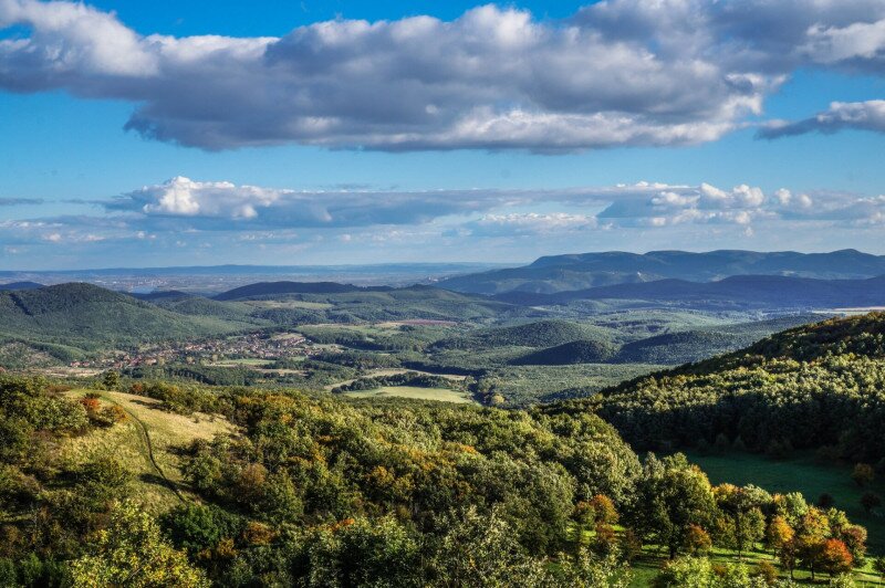 Kilátás a Szentendrei-sziget felé (Nagy-Sas-hegy)