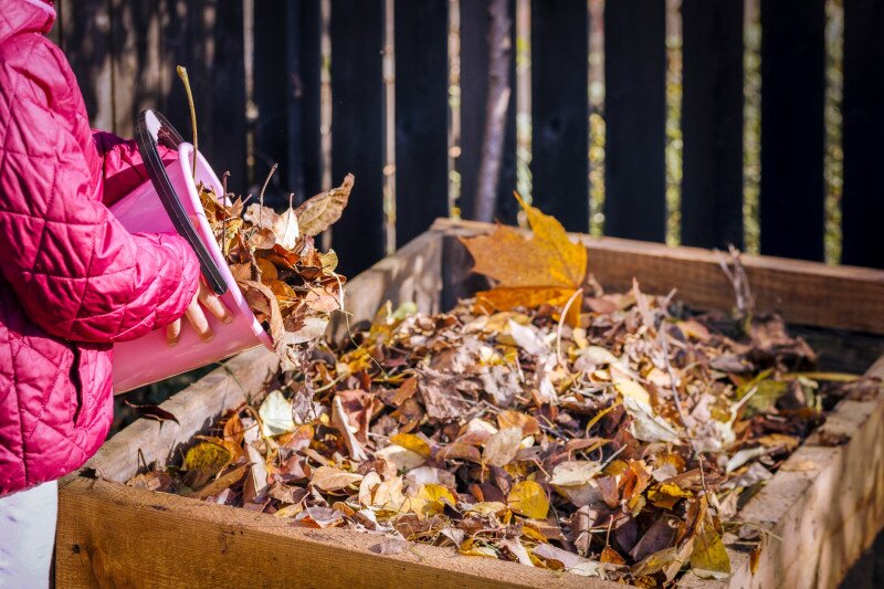 Kislány elszáradt leveleket dob a komposztládába
