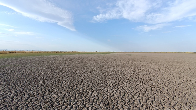 Kiszáradt szikes-tó