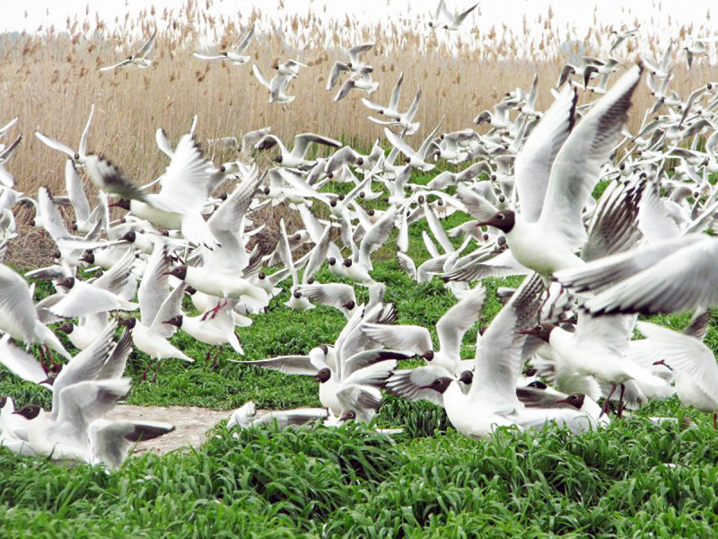 knp.nemzetipark.gov.hu / Bakacsi Gábor
