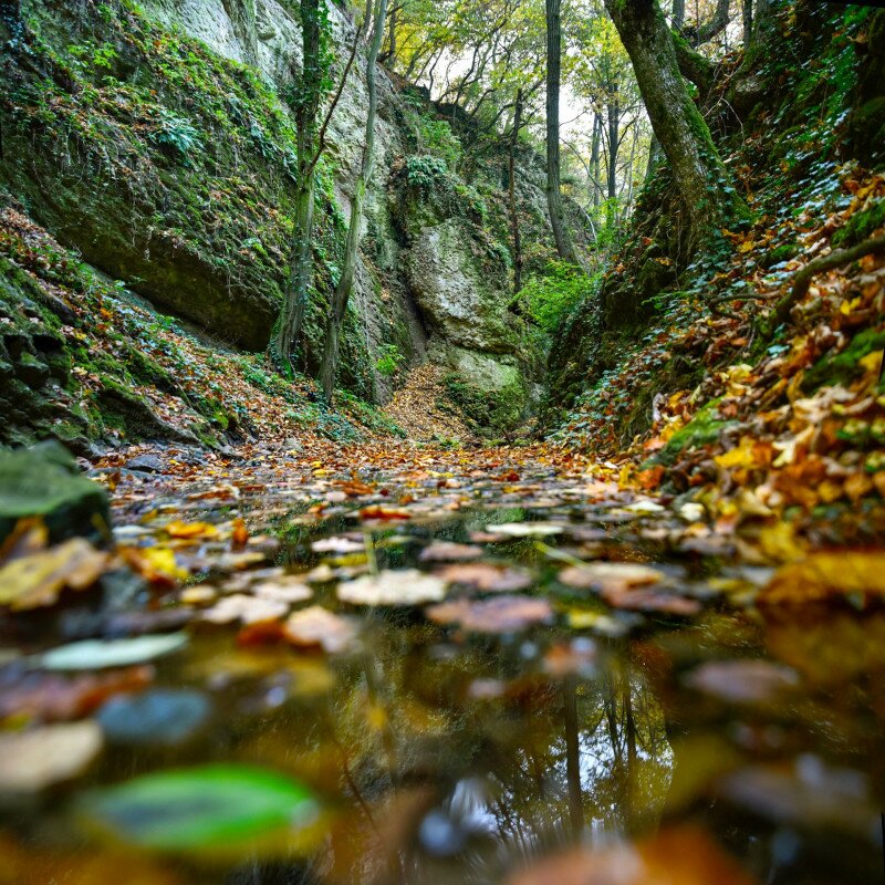 Kőmosó-szurdok