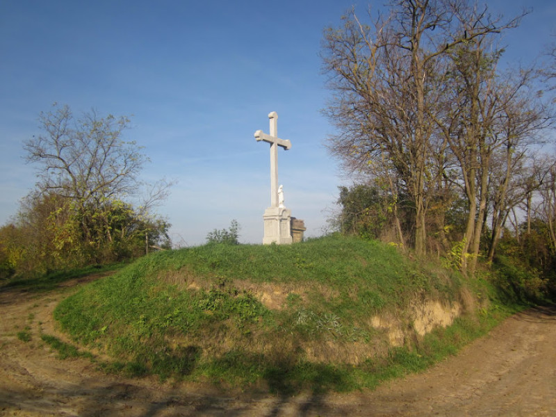 kop11.jpg