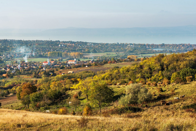 Koroshegy-Balaton-GA