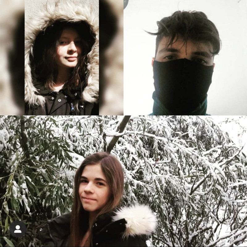 kos_bambusea_foresta_2