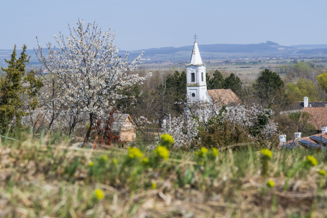 Kőtenger és virágözön – tavasz Salföldön