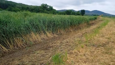 Kotorják a Zagyva felső szakaszát, a természetvédők a munkálatok leállítását kérik
