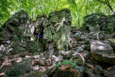 Kovácsi-hegy – Ahol a tőzeg és a bazalt Buddha és a vadlányok szellemével találkozik