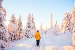 Kvíz: Mennyire ismered a téli természetet?