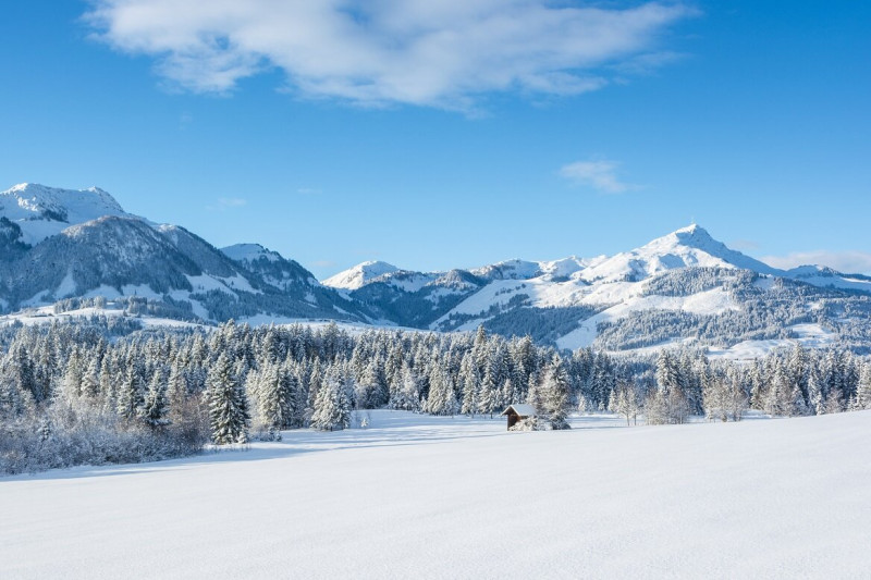 Landschaft-Winter-Fieberbrunn-©-Helmut-Lackner-11-small