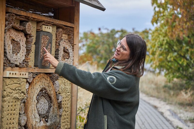 Látogatás a Sas-hegy tanösvényén és szeizmológiai laborjában