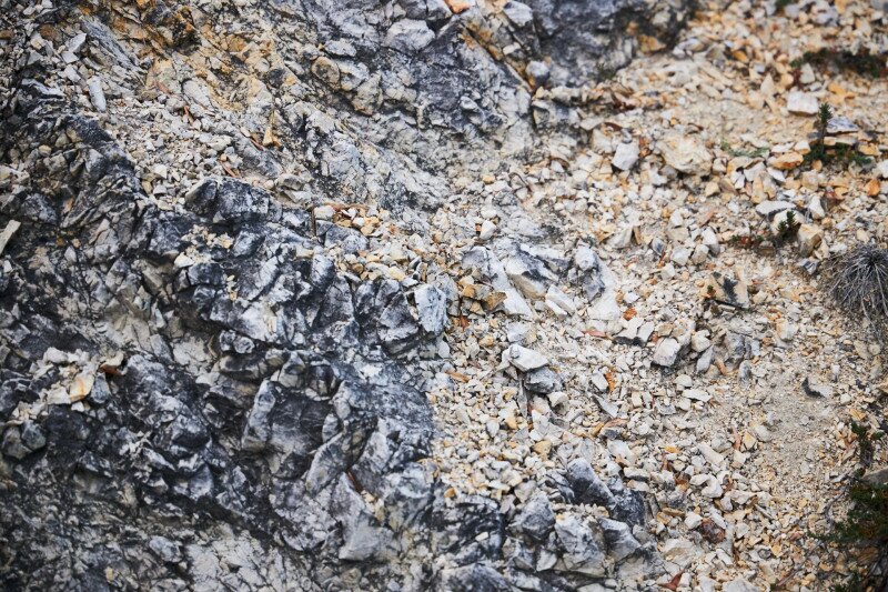 Látogatás a Sas-hegy tanösvényén és szeizmológiai laborjában