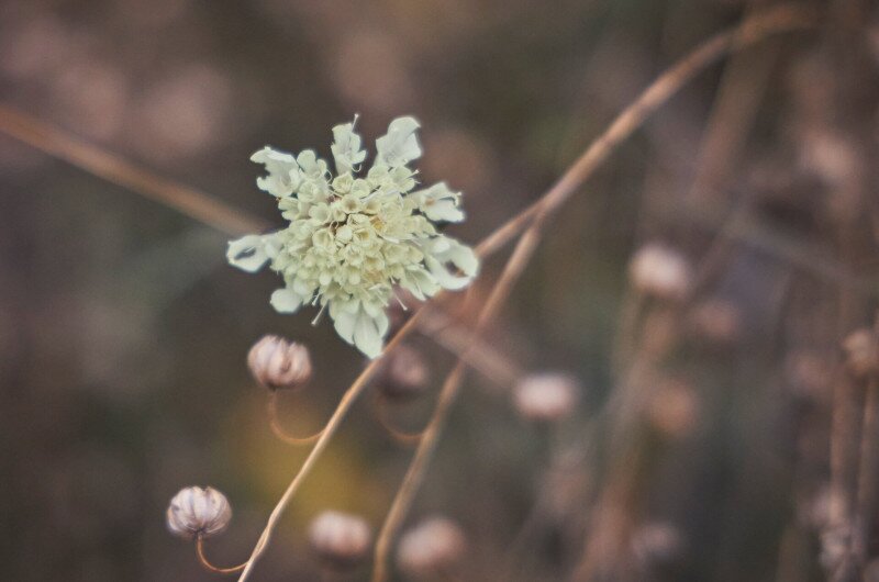 Látogatás a Sas-hegy tanösvényén és szeizmológiai laborjában