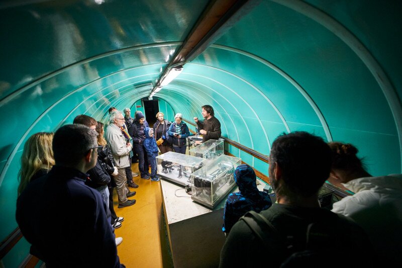 Látogatás a Sas-hegy tanösvényén és szeizmológiai laborjában