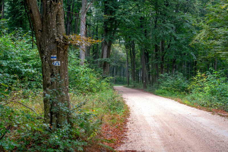 Leágazás a Pénz-likhoz
