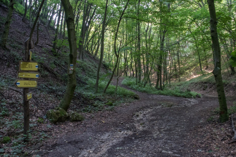 ​Leágazás a Vár-völgy bejáratánál a Csóka-kői várhoz