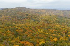 Legendák nyomán a Pécs feletti hegyekben