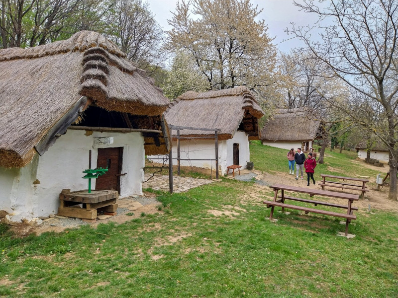 llanatban megmentett nyolc kis boronyafalú, zsúpfedeles pince alkotja a híres Cáki Pincesort