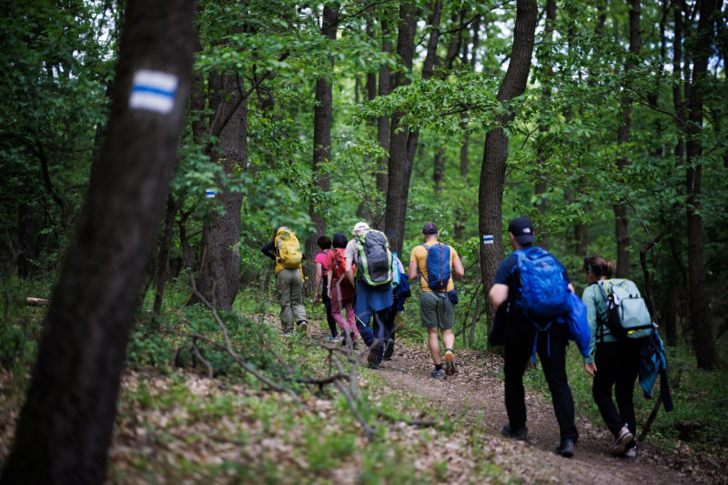 m250504_064-68ffa277-12917759