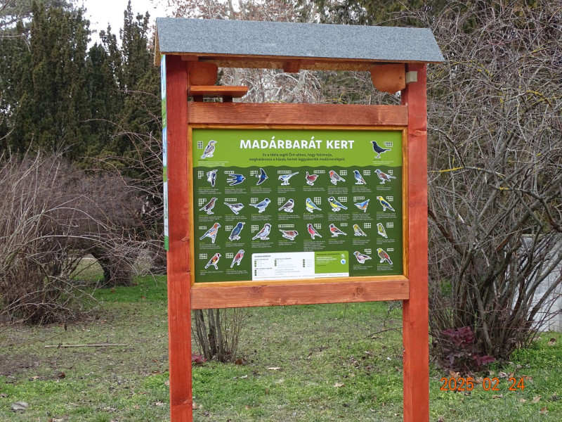 Madárbarát kert Csongrádon