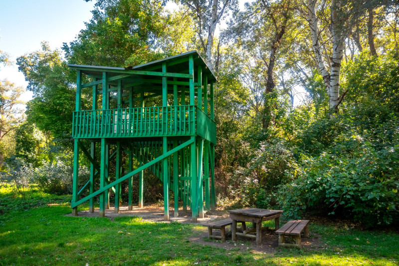 Madármegfigyelő a martélyi cölöpsétány tanösvényen