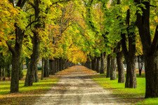 Ma este kezdődik a csillagászati ősz