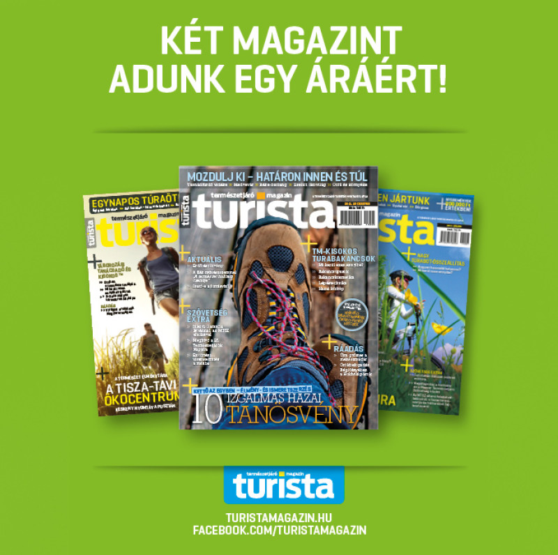 magazin_webes_akcio-3.jpg