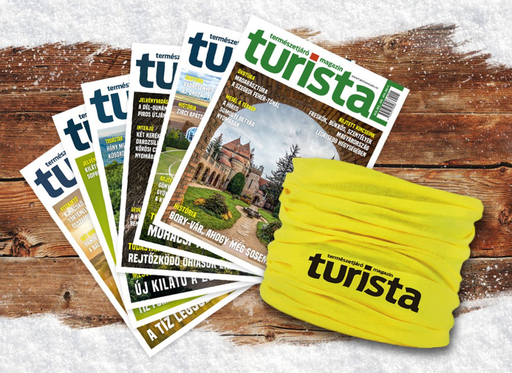 magazinescsosal