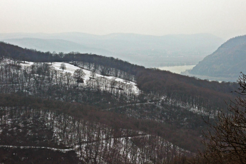 mar-11_049-2.jpg