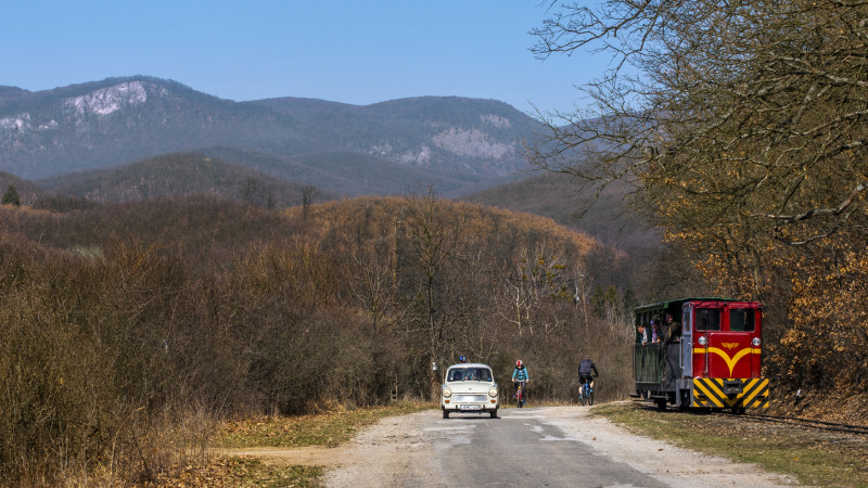 mar-22-23_075-2v.jpg