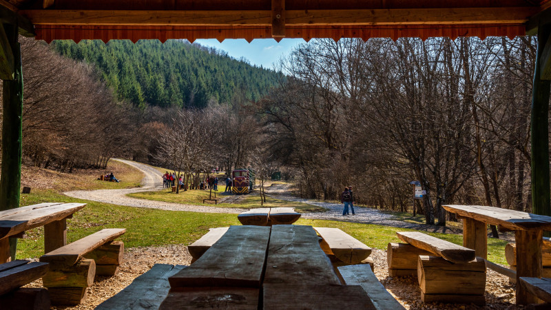 mar-22-23_107-2.jpg