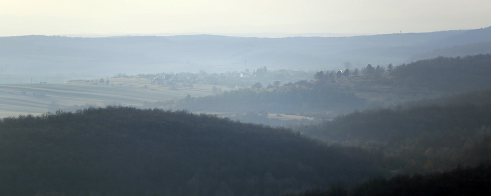 mar-8-10_077-2.jpg