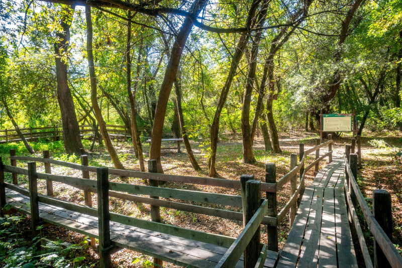Martélyi cölöpsétány tanösvény
