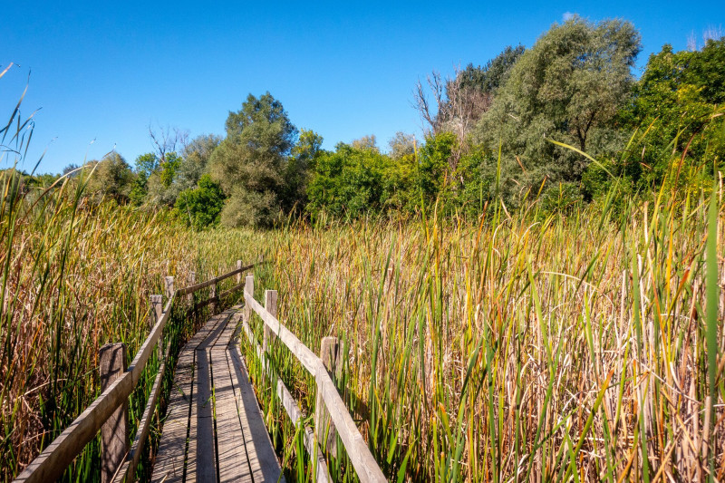 Martélyi cölöpsétány tanösvény