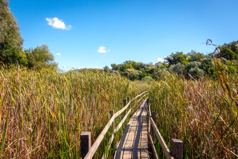 Martélyi cölöpsétány tanösvény