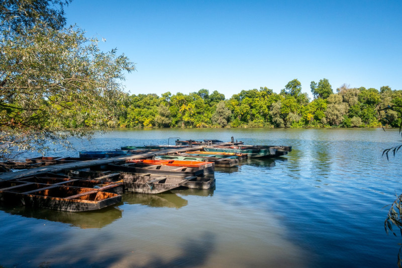 Martélyi Holt-Tisza ladikokkal