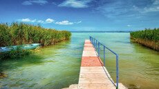 Megjelentek az algák a Balatonon