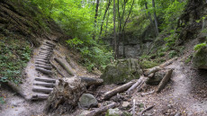 Megújul a Visegrádi-hegység legendás szurdoka, a Holdvilág-árok