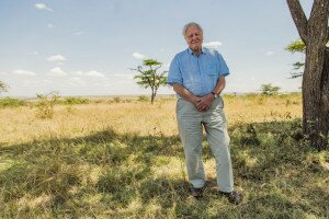 Megunhatatlan természetfilmek a 95 éves David Attenborough-tól
