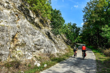 Megvan az Év Erdei Kerékpárútja