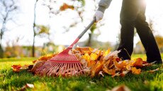 Menjen vagy maradjon a kerti avar?