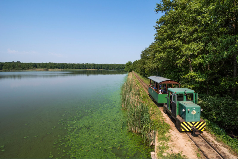 Mesztegnyo_kisvasut_busvari_to_1_GA