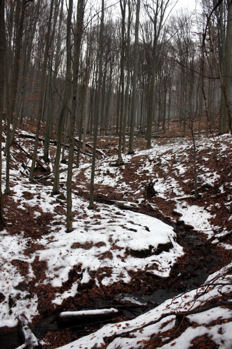 _mg_1233.jpg