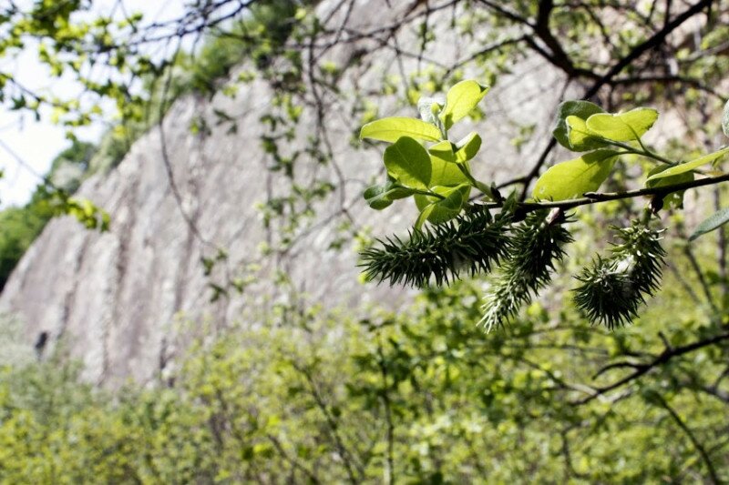 _mg_1703.jpg
