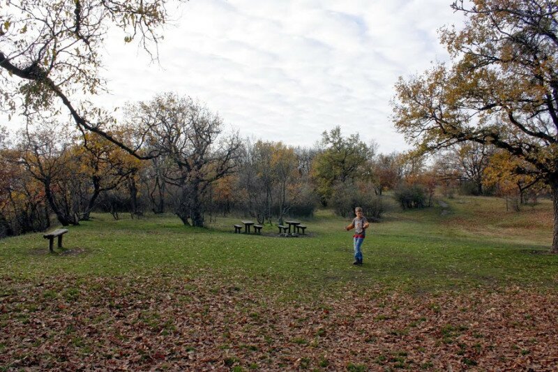 _mg_2739.jpg