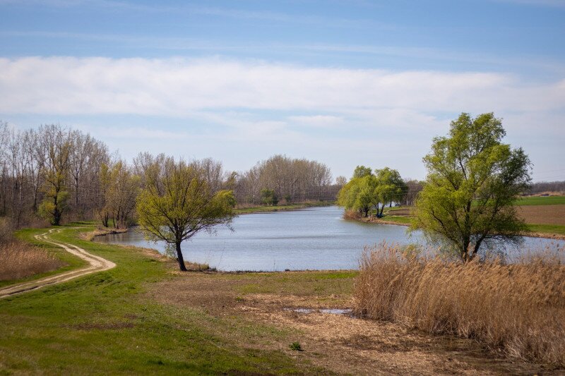 _MG_3535