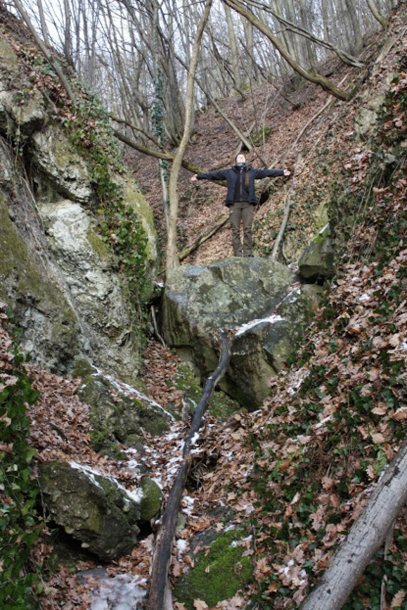 _mg_6262.jpg