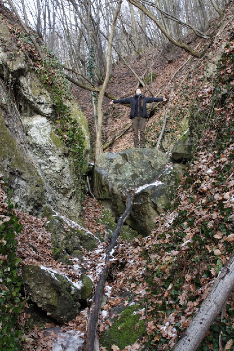 _mg_6262.jpg