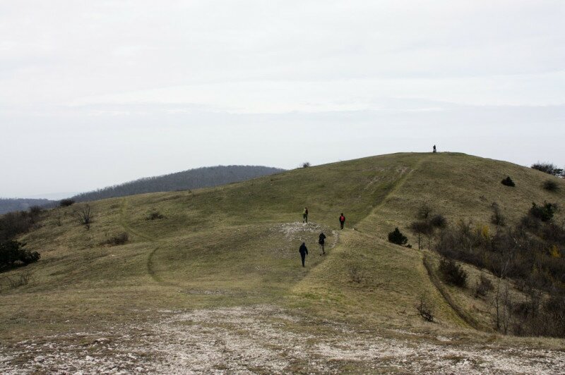 _mg_6690.jpg