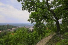 Miért Tettye a pécsi Tettye?